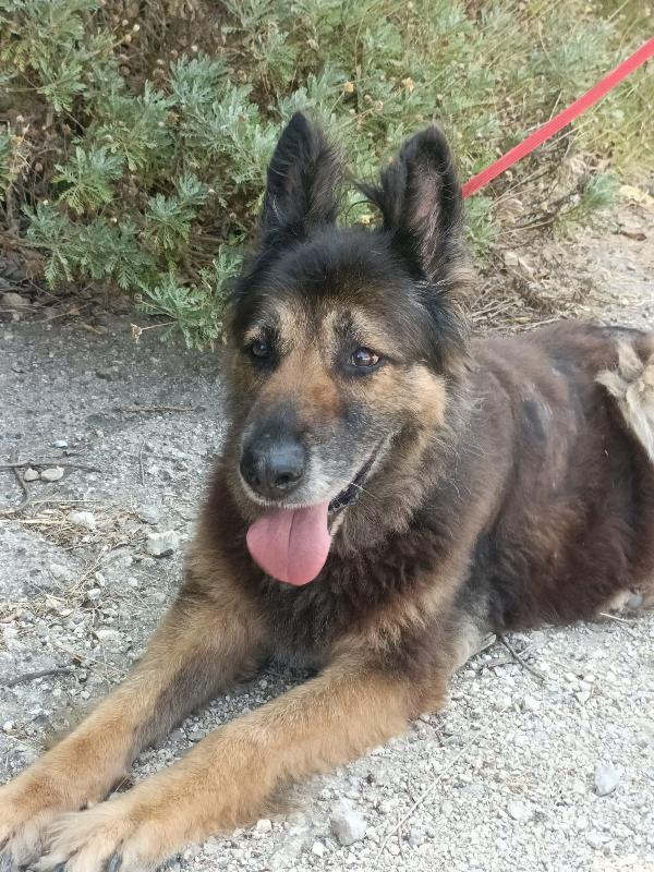 Taila Foto 3